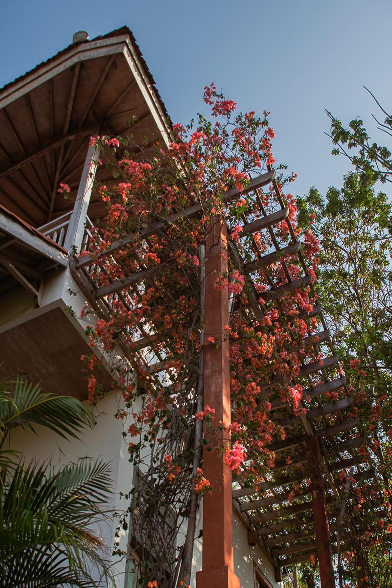 Bangsring Breeze Hotel Banyuwangi  Exterior foto