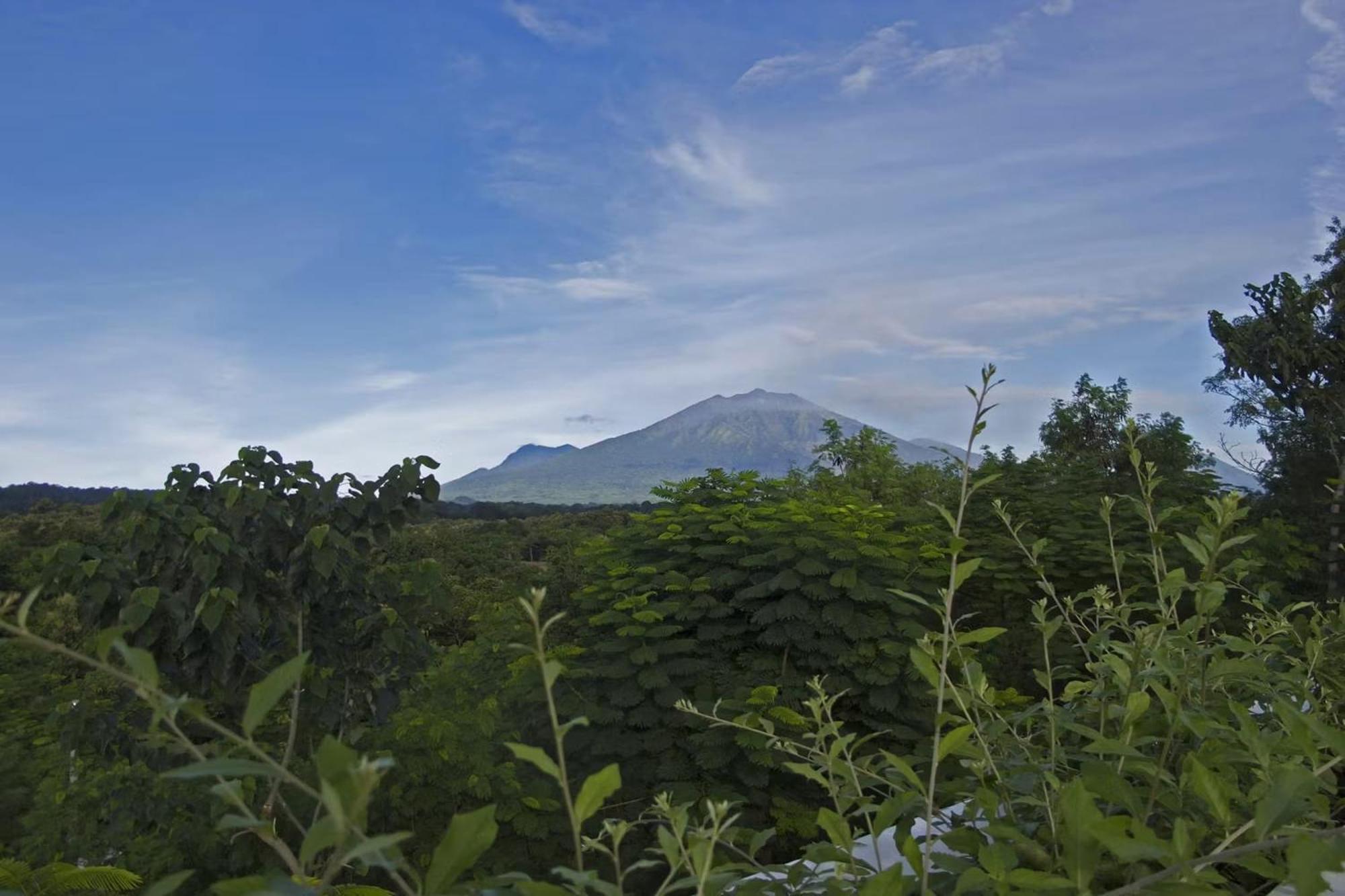 Bangsring Breeze Hotel Banyuwangi  Exterior foto